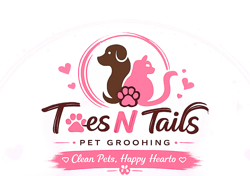Toes N Tails